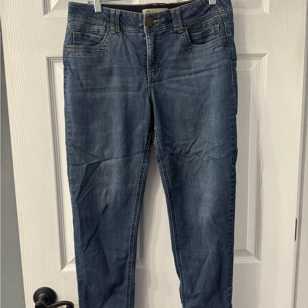 Democracy Medium Blue Skinny Jeans